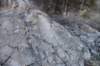 dsc_4599_fs_small.jpg