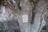 dsc_4600_fs_small.jpg