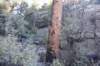 dsc_4605_fs_small.jpg