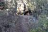 dsc_4607_fs_small.jpg
