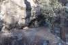 dsc_4608_fs_small.jpg
