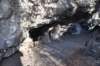 dsc_4611_fs_small.jpg