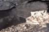 dsc_4612_fs_small.jpg