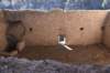 dsc_4815_fs_small.jpg
