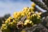 dsc_5023_fs_small.jpg