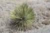 dsc_5027_fs_small.jpg