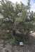 dsc_5034_fs_small.jpg