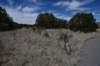 dsc_5036_fs_small.jpg