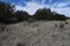 dsc_5043_fs_small.jpg