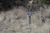 dsc_5044_fs_small.jpg