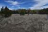 dsc_5059_fs_small.jpg
