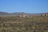 dsc_5122_fs_small.jpg