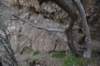 dsc_5491_fs_small.jpg
