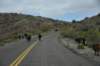 dsc_5766_fs_small.jpg