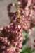 dsc_5805_fs_small.jpg