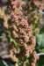 dsc_5807_fs_small.jpg