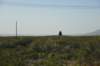 dsc_5843_fs_small.jpg
