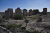 dsc_5981_fs_small.jpg