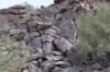 dsc_0129_fs_small.jpg