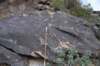 dsc_0132_fs_small.jpg