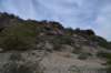 dsc_0135_fs_small.jpg