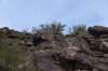 dsc_0137_fs_small.jpg