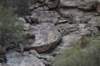 dsc_0142_fs_small.jpg