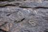 dsc_0174_fs_small.jpg