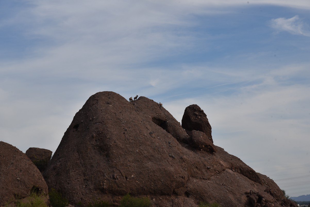 dsc_0500_fs.jpg