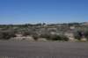 dsc_0541_fs_small.jpg