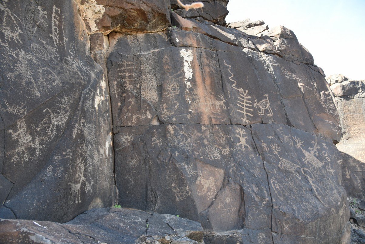 dsc_0986_fs.jpg
