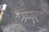 dsc_1018_fs_small.jpg