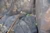 dsc_1020_fs_small.jpg