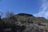 dsc_1080_fs_small.jpg