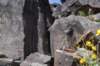 dsc_1158_fs_small.jpg