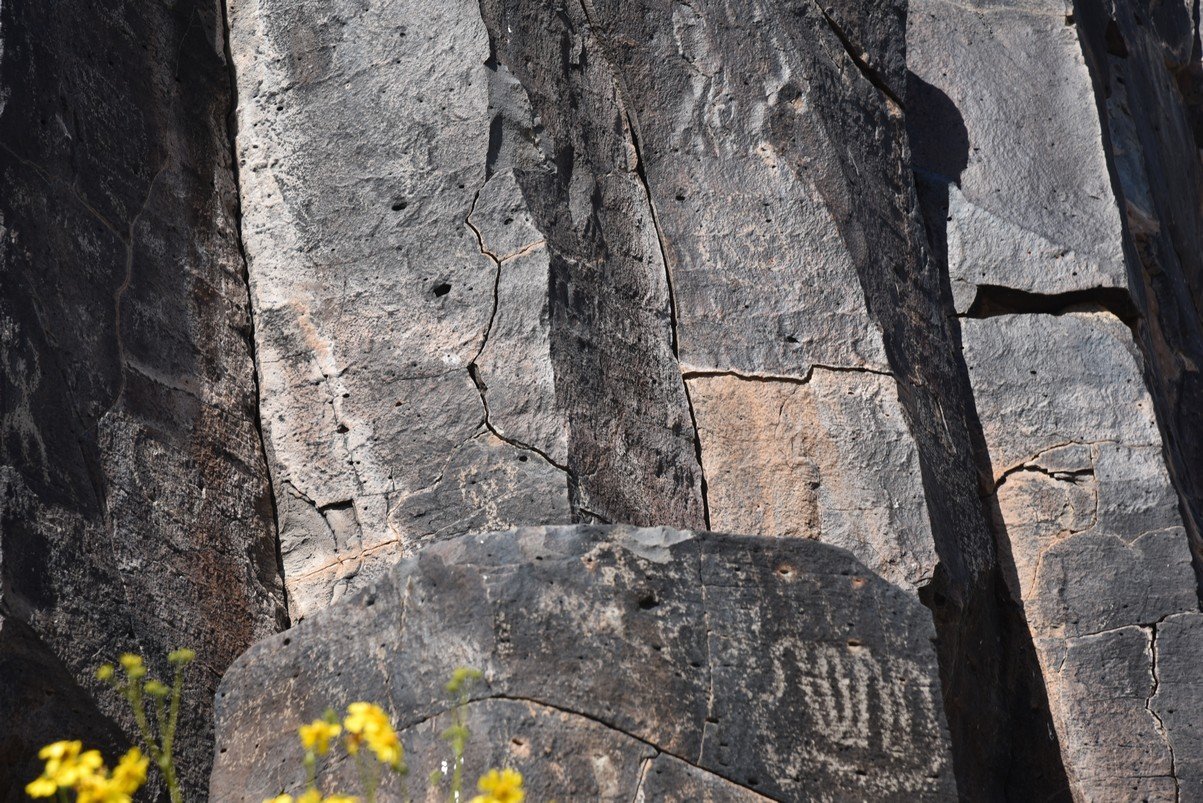 dsc_1169_fs.jpg
