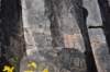 dsc_1169_fs_small.jpg