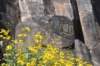 dsc_1170_fs_small.jpg
