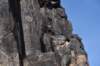 dsc_1173_fs_small.jpg