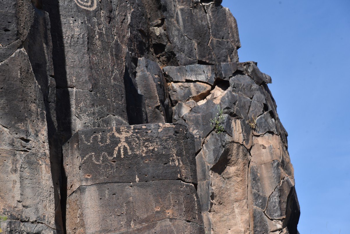 dsc_1174_fs.jpg