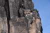 dsc_1174_fs_small.jpg