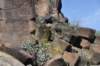 dsc_1176_fs_small.jpg