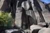 dsc_1177_fs_small.jpg