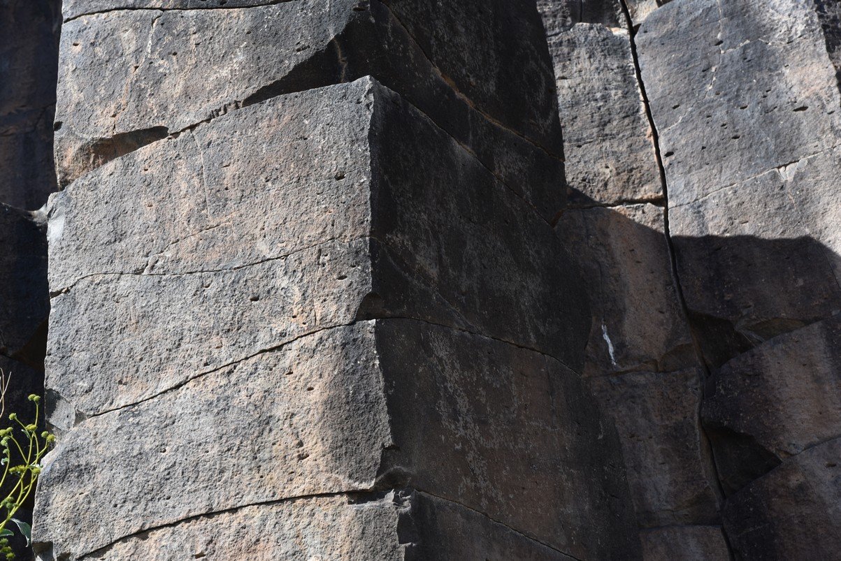 dsc_1179_fs.jpg