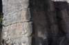 dsc_1180_fs_small.jpg