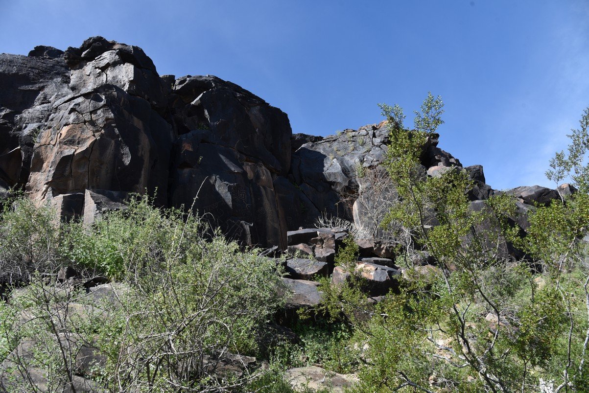 dsc_1194_fs.jpg