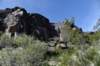 dsc_1194_fs_small.jpg