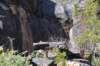 dsc_1196_fs_small.jpg