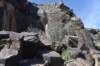 dsc_1200_fs_small.jpg
