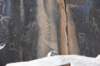 dsc_1203_fs_small.jpg